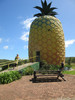 30-pineapple-house-for-sale
