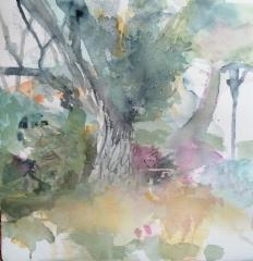 img_20251029_075703_edit_233677728364341