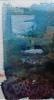 solina_2025
