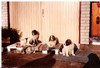 japstiffin a-pentueen koiria kuva13 .kev�t-94