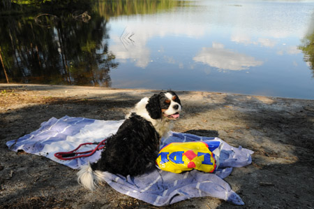 bobi 2008 lidl