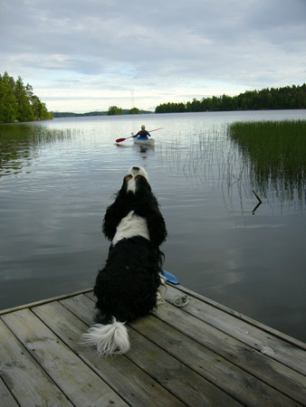 bobi ulvoo, juhannus 2005