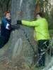 Raimo ja Sisko halaavat Summassaaren vanhinta puuta ja toivovat3.11.2015