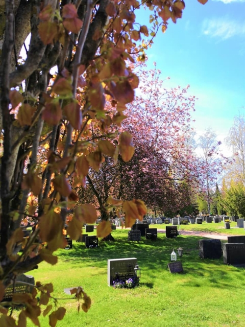 Keväinen hautausmaa