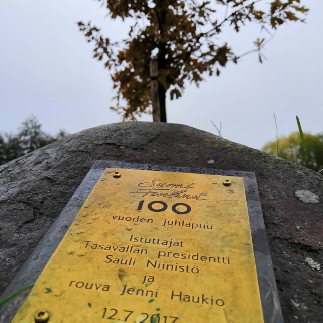 Suomi100 -vuoden juhlapuu