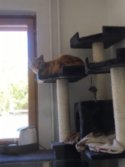 img-20180906-wa0018