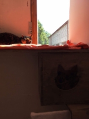 img-20180906-wa0046