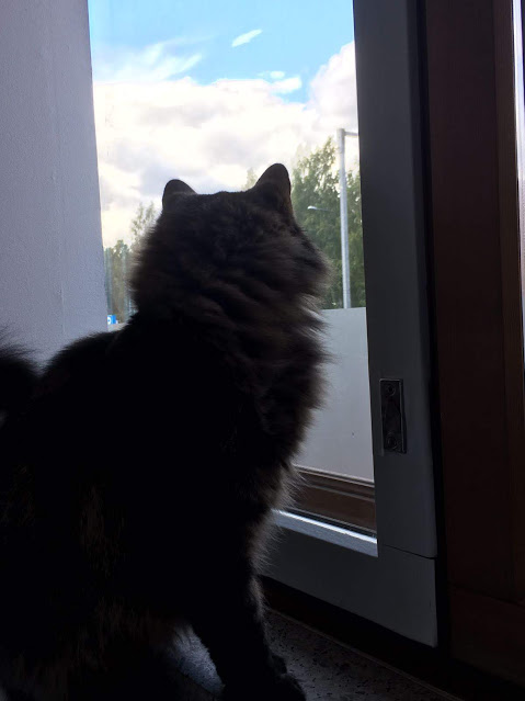 img-20180906-wa0030 img-20180906-wa0030