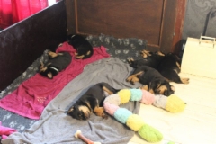 Aino on vasemmalla alempana.