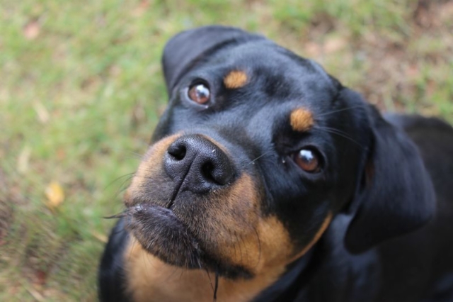 1566915709143_1_large