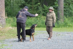 Kaikki luonnetestikuvat Minna Tirronen