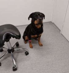 316528420_2379420758878135_279575716829194335_n