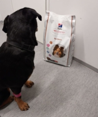 316675197_2379420832211461_3488561675578705468_n