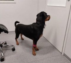 316818755_2379420778878133_7272821934835115602_n