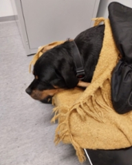 316940525_2379420868878124_6923826931007798106_n