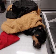 317083358_2379420898878121_1616506733296680032_n