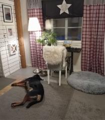 429662536_3772197543069412_5271982941692025567_n