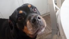 480189911_4070902759865554_5657953616937881009_n