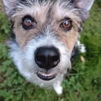 485792385_4089822087973621_7471045597624431599_n