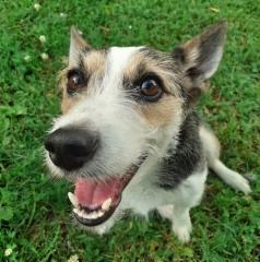 294774665_2266617236825155_7233968894695569109_n