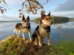 485210401_4090024317953398_8972314832324226462_n