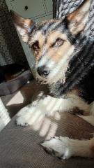 img_20250608_170156661_hdr