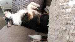 img_20250614_172503885_mfnr