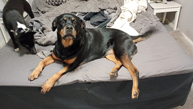 img_20251030_185357959_mfnr