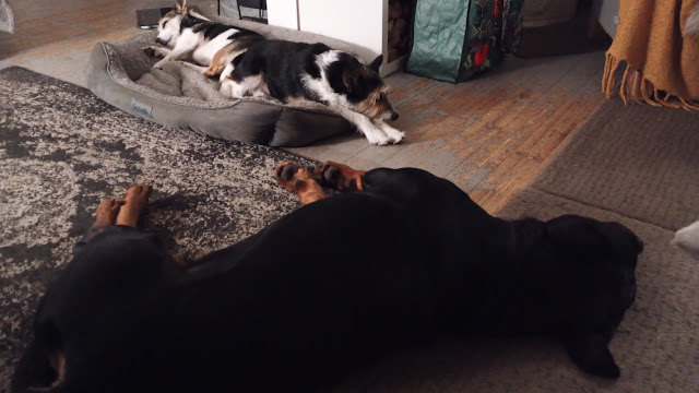 img_20251203_222312335_mfnr