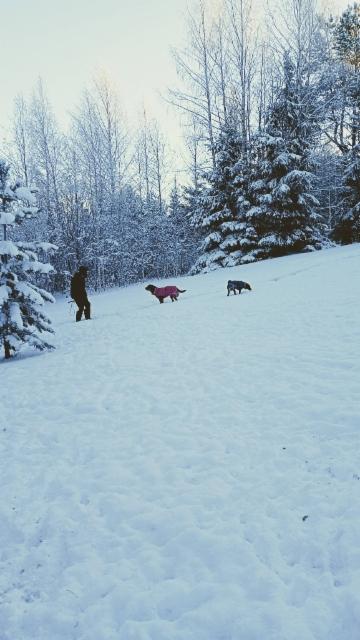 611664876_4416722271950266_8345921923378420696_n