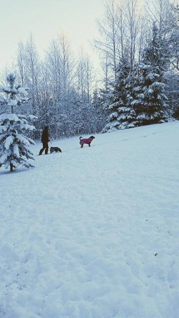 612056354_4416722428616917_303144751210676959_n