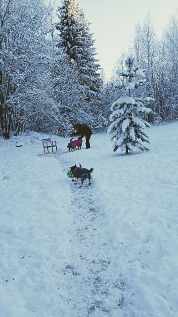 612145005_4416722545283572_3892514942675087589_n