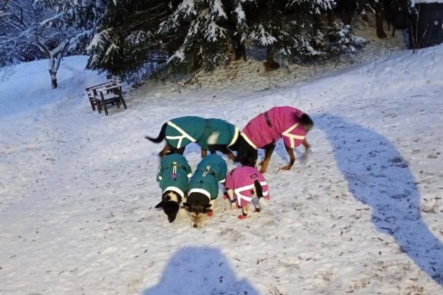 612403918_4417821191840374_6017608822579181099_n