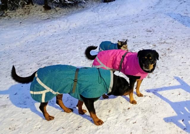 613106043_4417819901840503_4876963475111908703_n