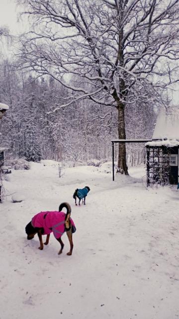 615197272_4417818361840657_8375924978083306678_n