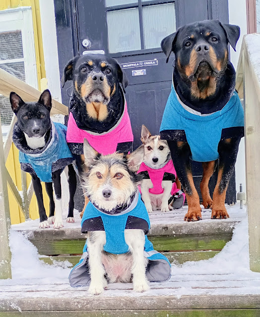 img_20260107_131402073_hdr3