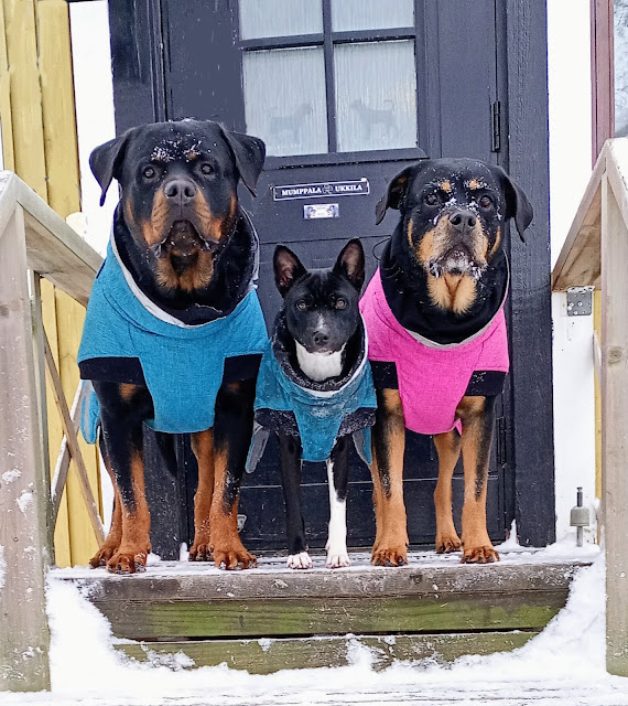 img_20260107_133113053_mfnr2