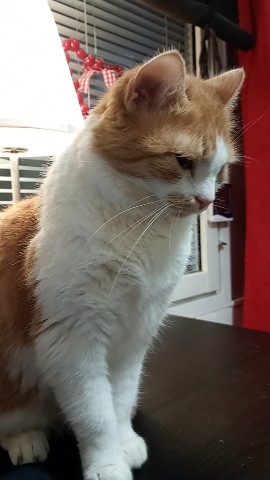 img_20251222_084254508_mfnr