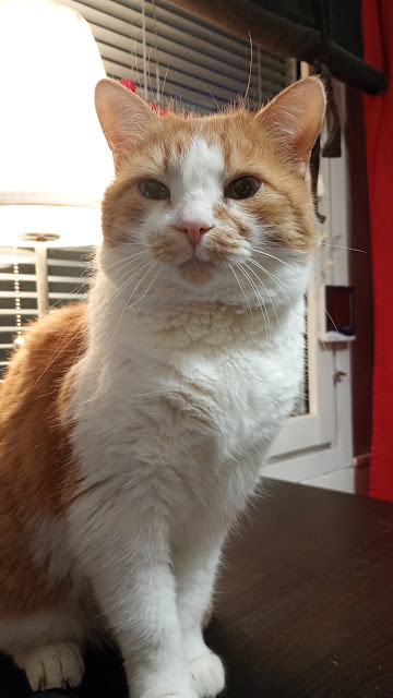 img_20251222_084259288_mfnr