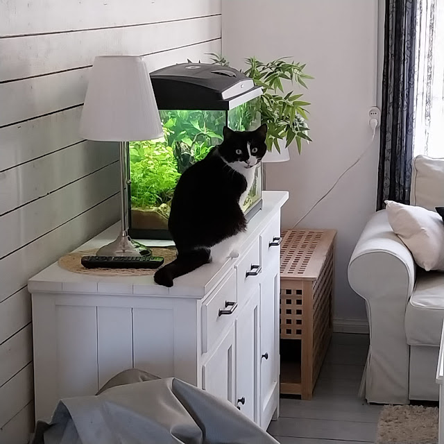 fb_img_1763821344818