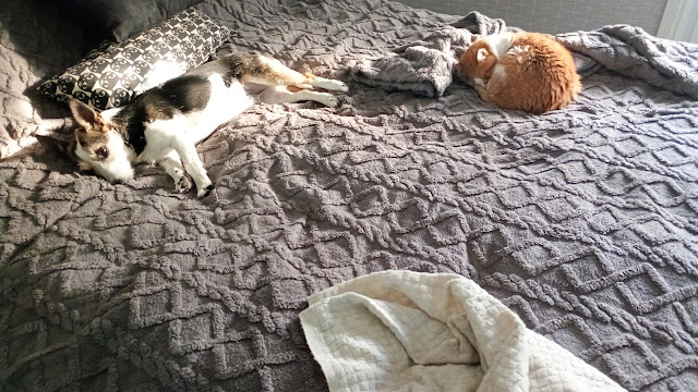 img_20250820_183350384_mfnr