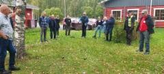 pelin_tuoksinassa