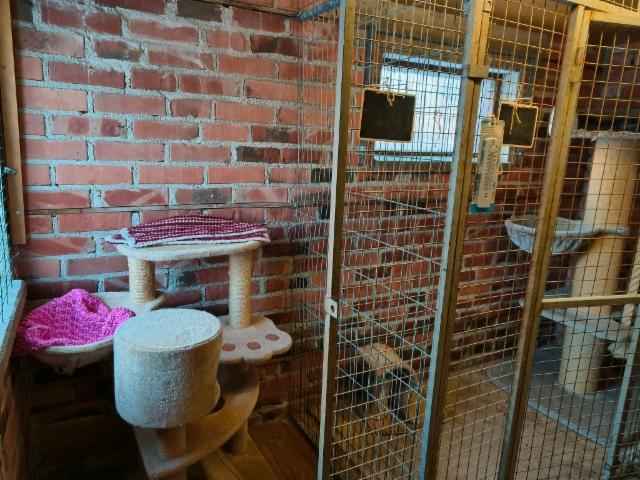 Kissahoitola, n&auml;iss&auml; tiloissa hoidetaan my&ouml;s esim kanit