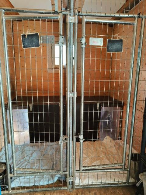 Keltaisen koiratalon sis&auml;tilat