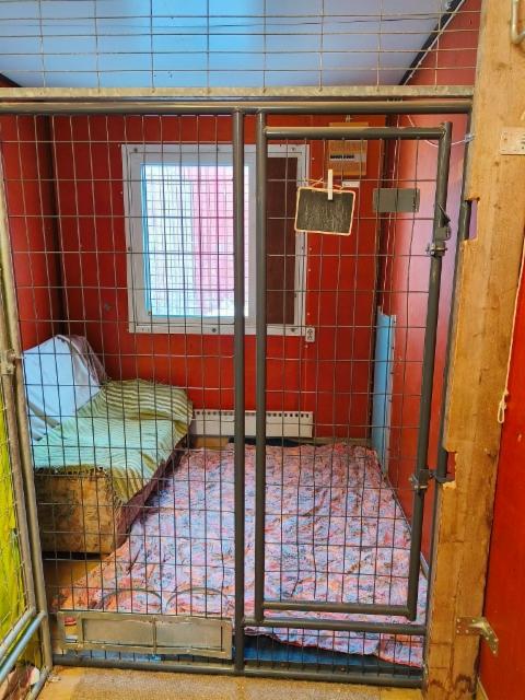 Punaisen koiratalon iso tila