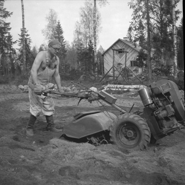 Puutarhatyötä 1950-luvulla Laajalahdessa
