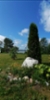 2109c477-0050-40da-a18d-8c4a089dc942