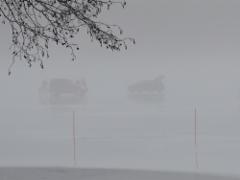 img_4164