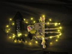 img_8580
