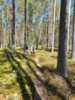 leivonmaen_kansallispuisto17_24.5.2022